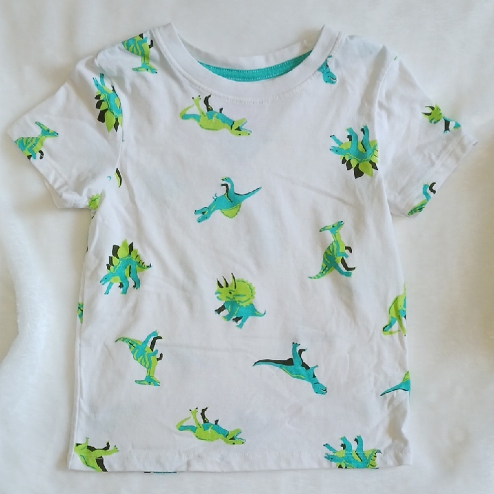 Lot Of 3 Cat & Jack Tshirt And Shorts, Zara Tshirt
